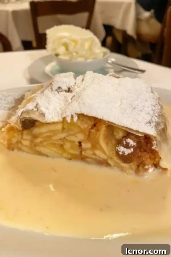 what to eat in Vienna : cheese strudel with cheese sauce