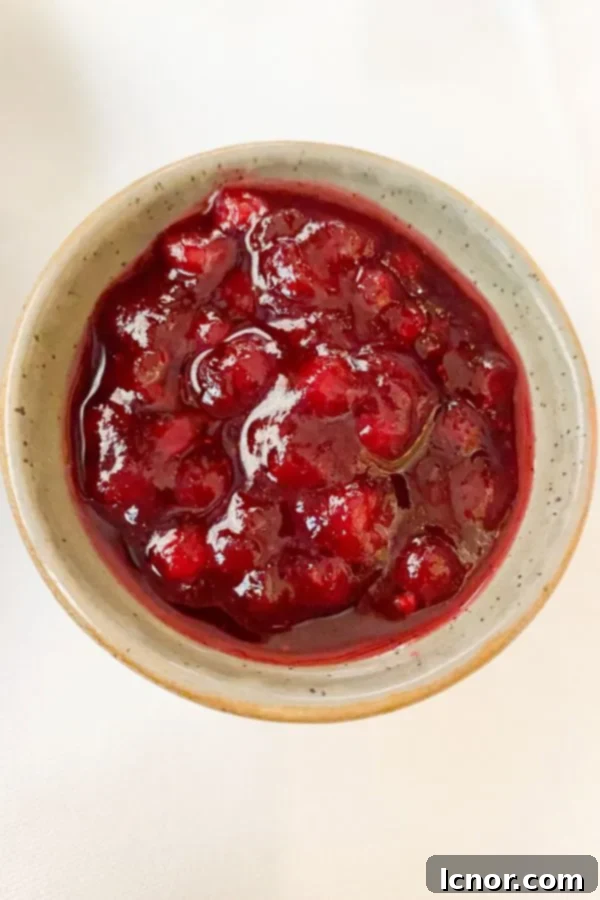 What to eat in Vienna : lingonberry jam in a bowl (Vienna Food Guide)