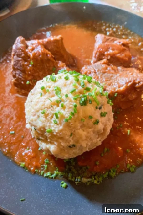 beef goulash served with a bread dumpling at Café Savoy in Vienna Austria