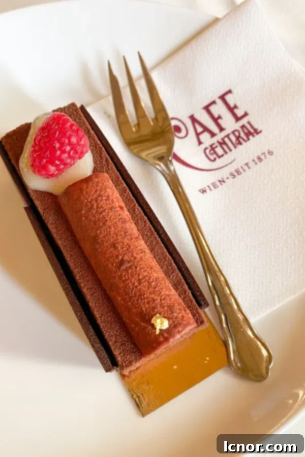 raspberry and chocolate cake at Café Central in Vienna Austria