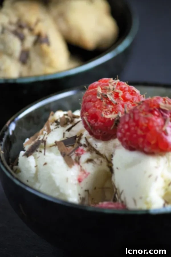 yogurt ice cream