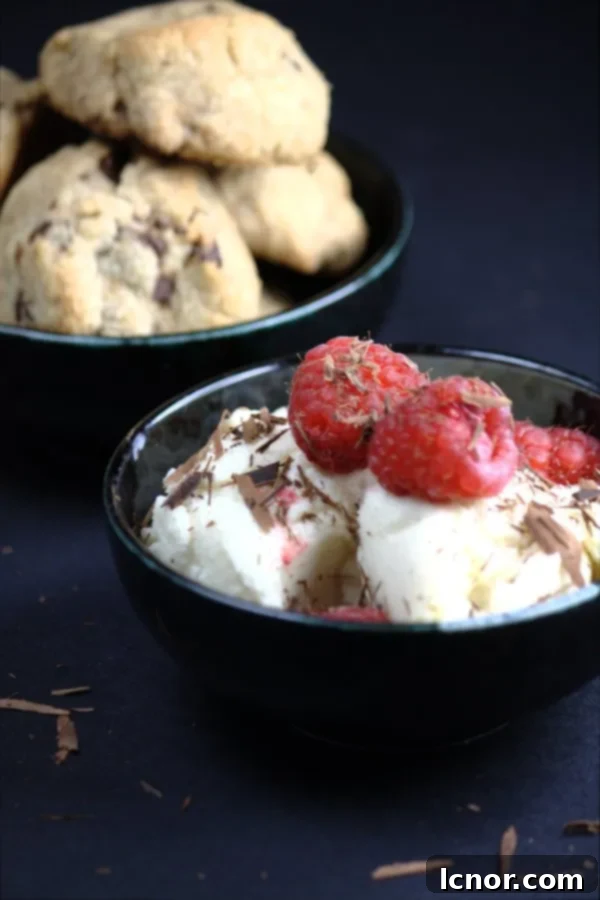 yogurt ice cream