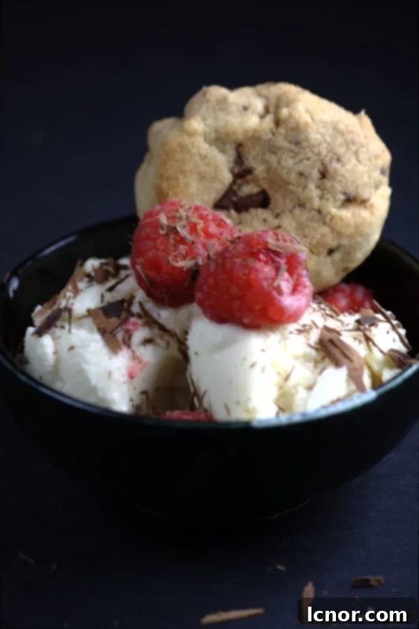 yogurt ice cream