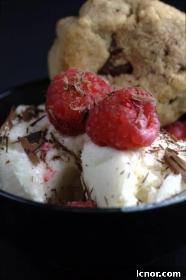 yogurt ice cream