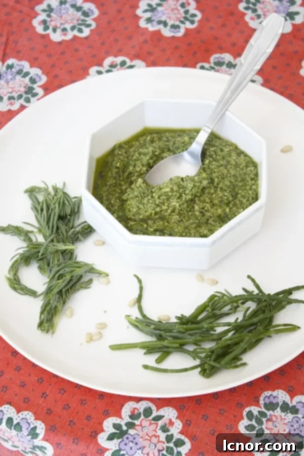 Somme Bay's Green Gold Sea Plant Pesto 10 Finished Somme Bay Sea Plant Pesto