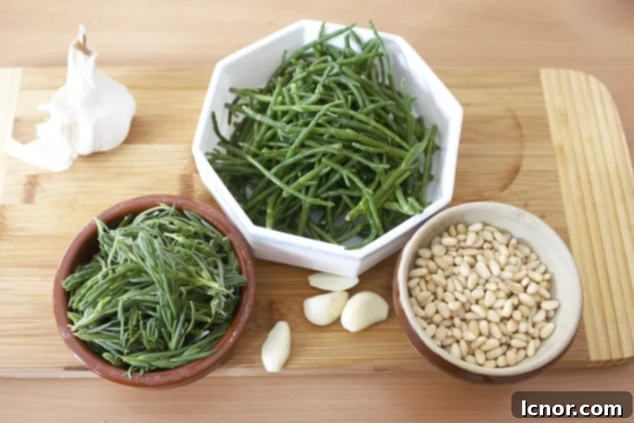 Somme Bay's Green Gold Sea Plant Pesto 8 Ingredients for Sea Plant Pesto