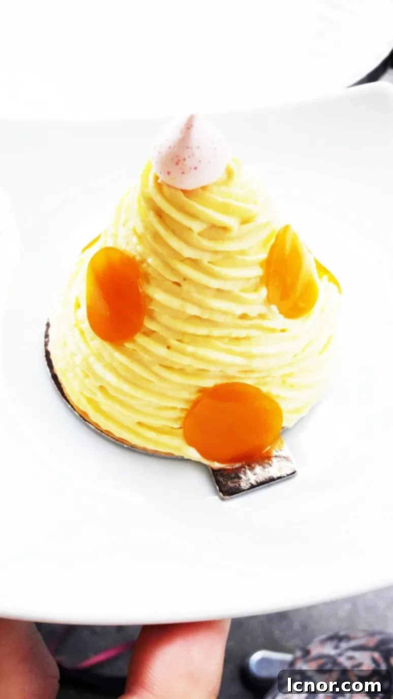 A beautifully crafted Mont Blanc pastry from Le Mont du Bonheur, showcasing its creamy layers and delicate presentation.