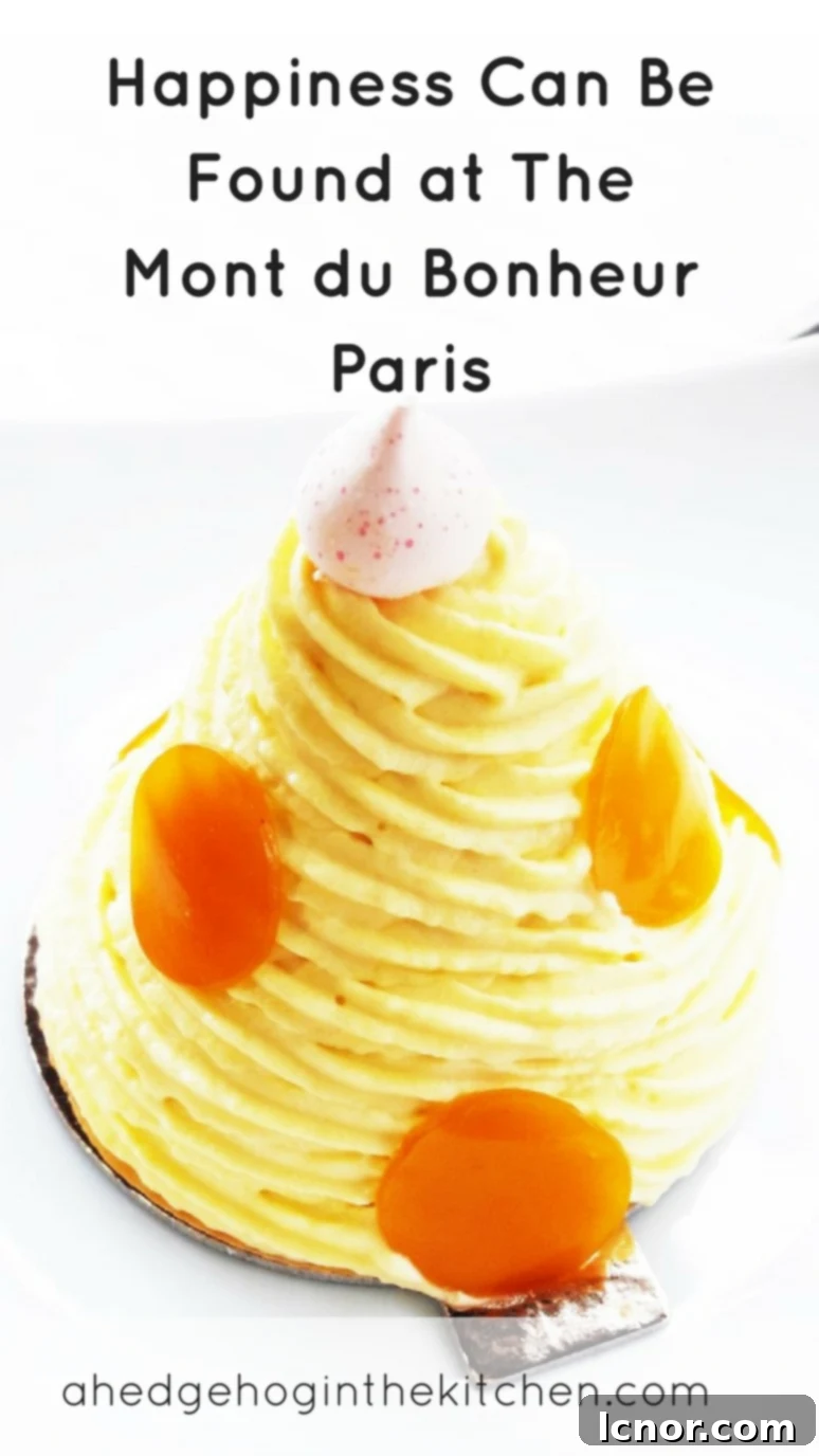 Pin this guide for your next Parisian pastry adventure! Discover the Mont Blanc pastry in Paris, including alternatives to Le Mont du Bonheur for a sweet treat.
