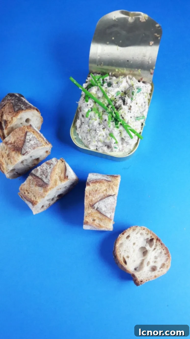 sardine rillettes in a small bowl with crackers