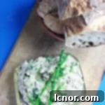 sardine rillettes
