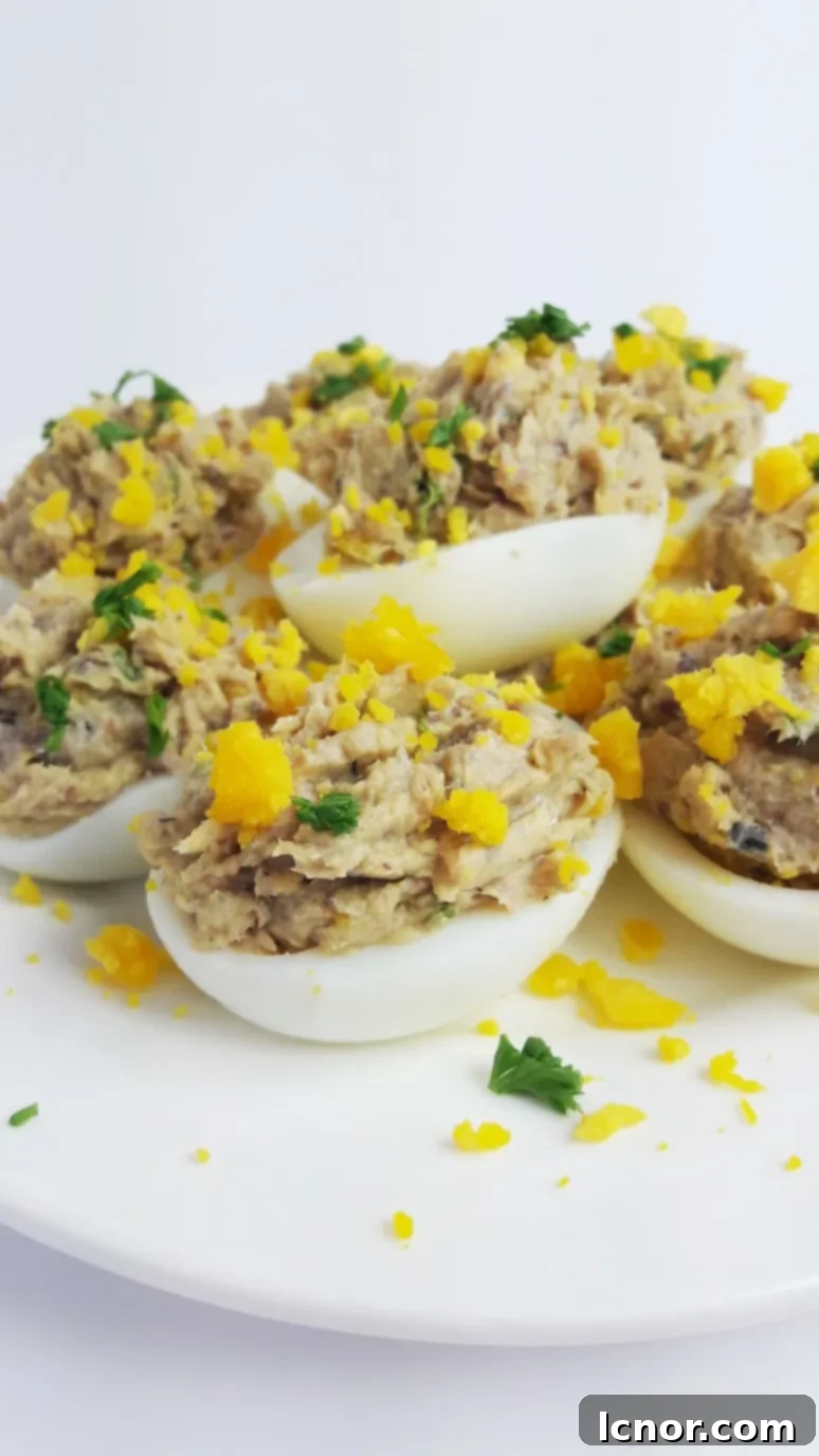 deviled-eggs, gourmet sardine rillettes, easy appetizer recipe