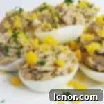 sardine rillettes deviled eggs, perfect appetizer
