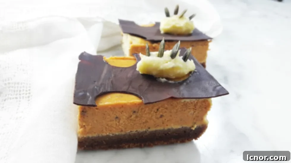 A collection of pumpkin cheesecake bars beautifully presented, featuring a dark chocolate topping with circular cut-outs and garnished with buttercream and pumpkin seeds.