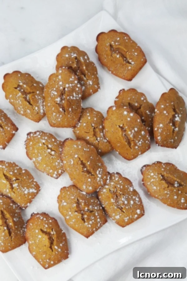 A cluster of golden-brown honey pumpkin madeleines arranged artfully on a white ceramic plate, showcasing their distinctive shell shape and perfect hump. The warm lighting highlights their inviting texture.