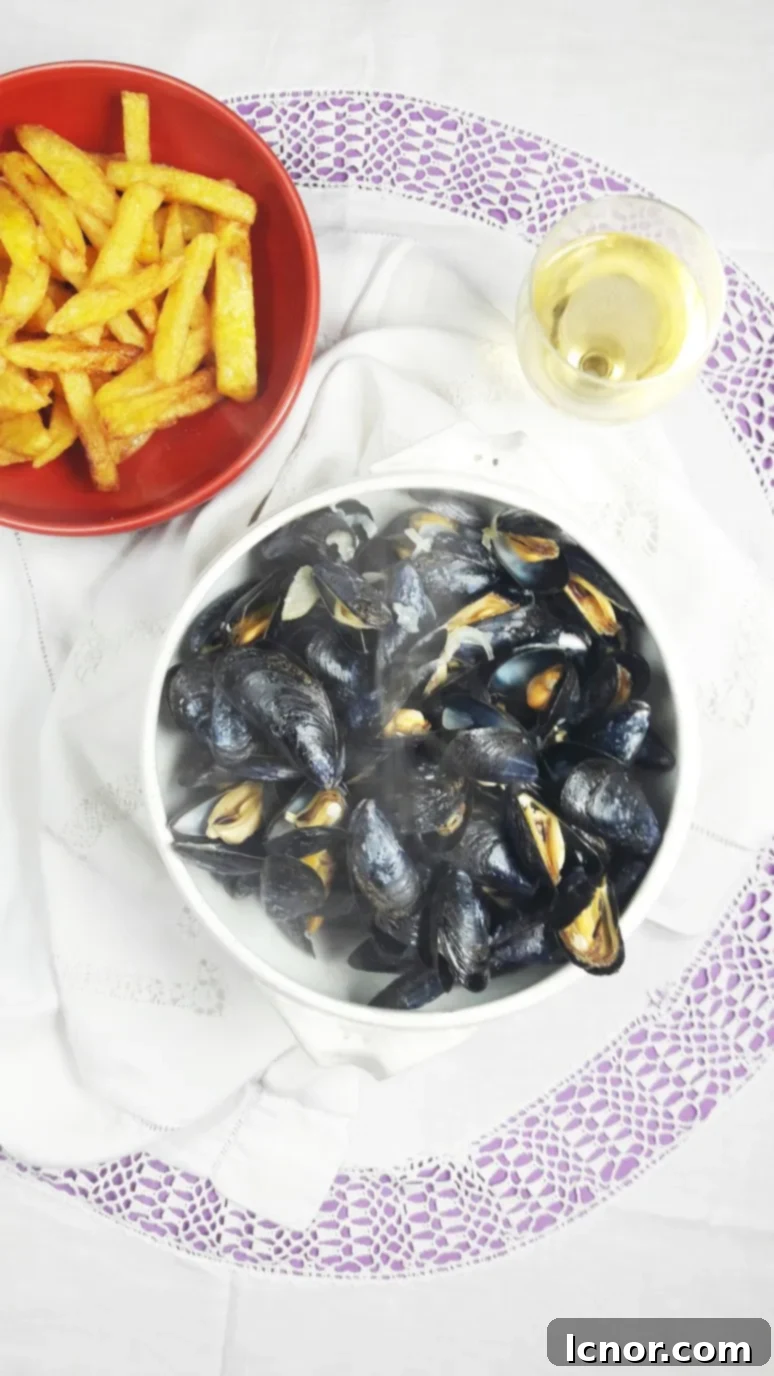 Exquisite homemade mussels and crispy French fries, a perfect culinary delight from our Picardie travels. A Hedgehog in the Kitchen.