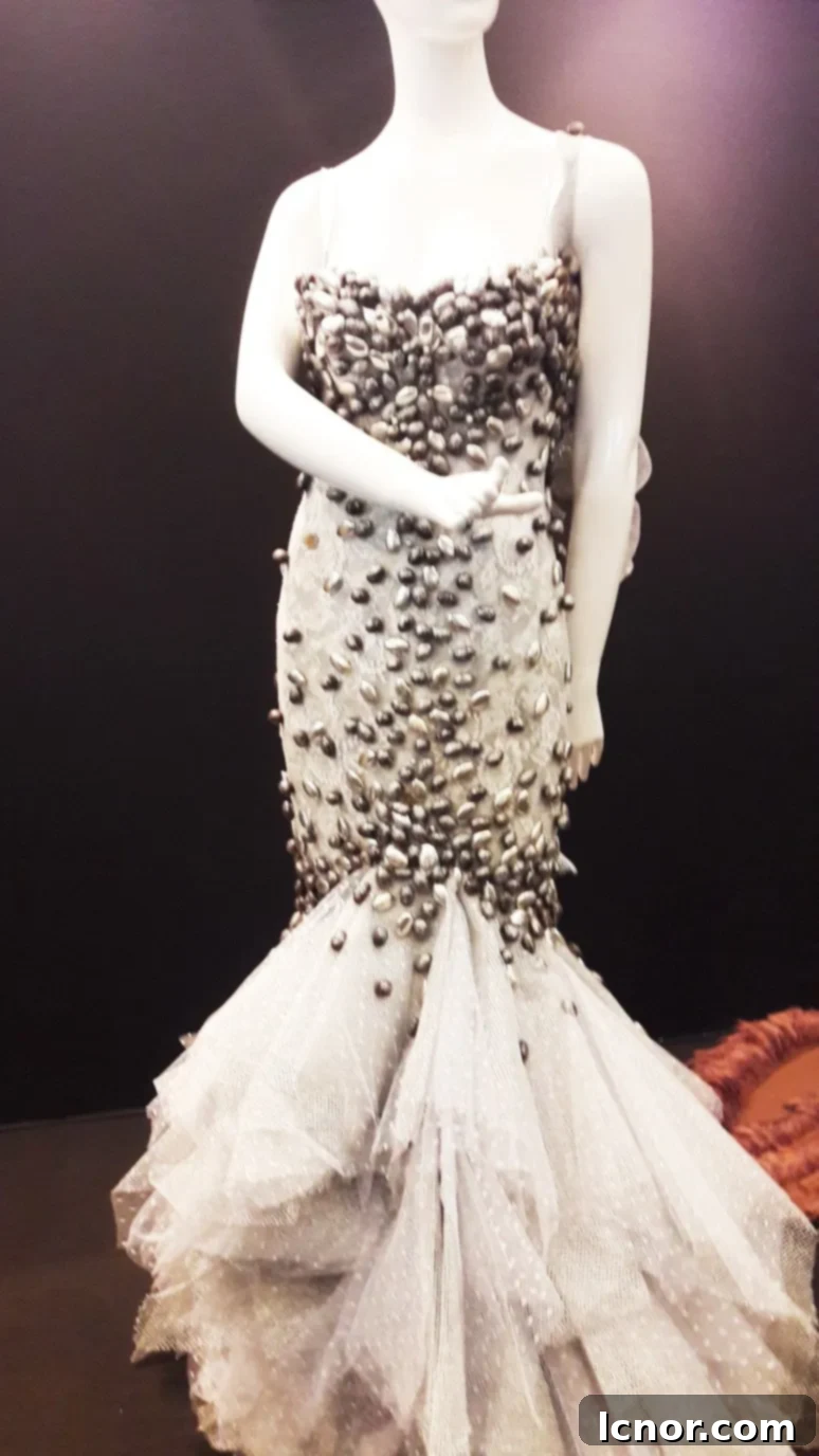 Salon du Chocolat - Chocolate-Covered Dress. A Hedgehog in the Kitchen. www.ahedgehoginthekitchen.com.