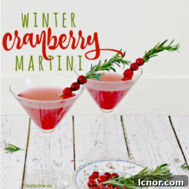 Vibrant Winter Cranberry Martini cocktail