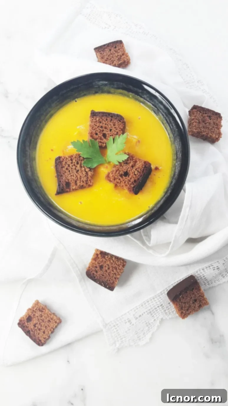 Delicious gingerbread croutons topping a creamy pumpkin soup, ready to be enjoyed. | ahedgehoginthekitchen.com