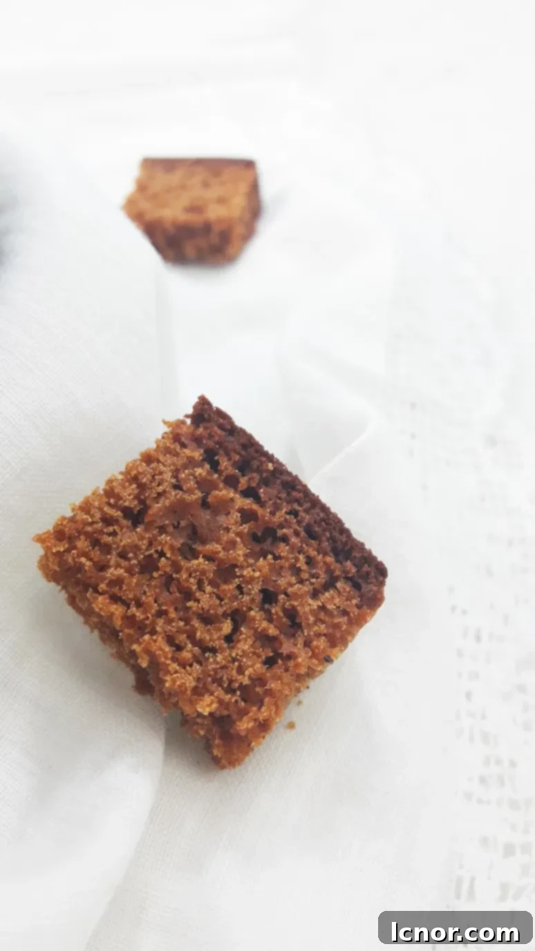 Close-up of golden-brown gingerbread croutons, freshly toasted and ready to be served. | ahedgehoginthekitchen.com