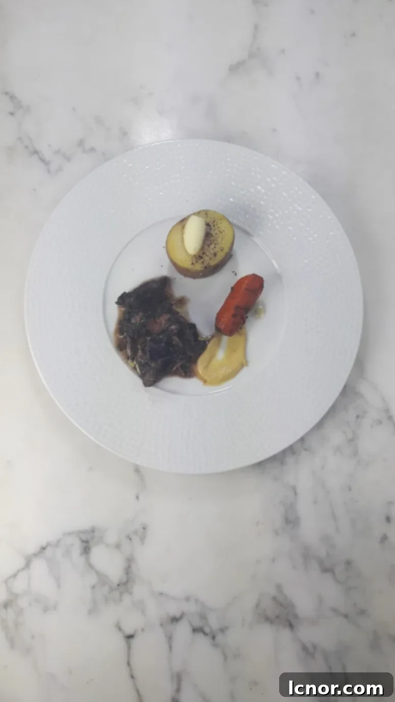 A close-up of the delicious Classic French Boeuf Bourguignon in a serving bowl, showcasing its rich sauce and vegetables.