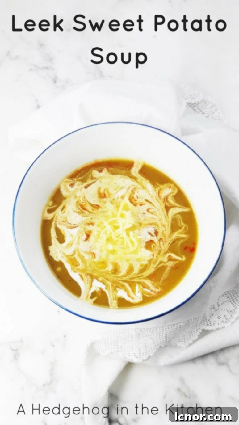 Leek sweet potato soup. This soup is healthy, quick to make and very tasty! | ahedgehoginthekitchen.com