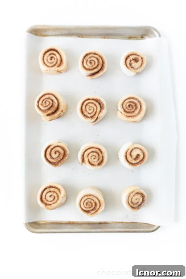 Romantic breakfast ideas for Valentine's Day. | One Hour Whole Grain Cinnamon Rolls. | ahedgehoginthekitchen.com