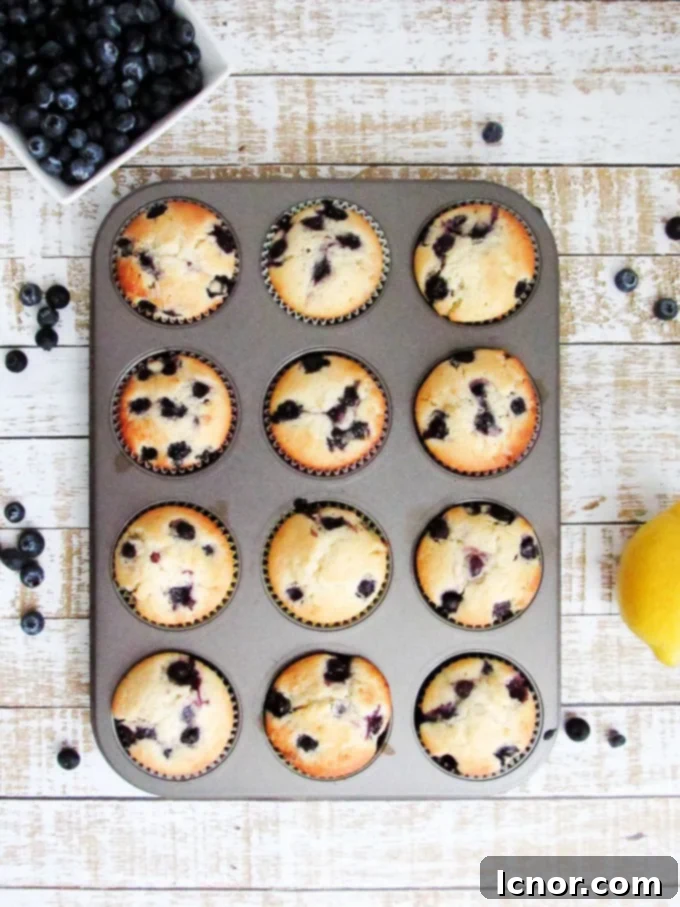 romantic breakfast ideas for Valentine's Day. | Lemon blueberry muffins. | ahedgehoginthekitchen.com