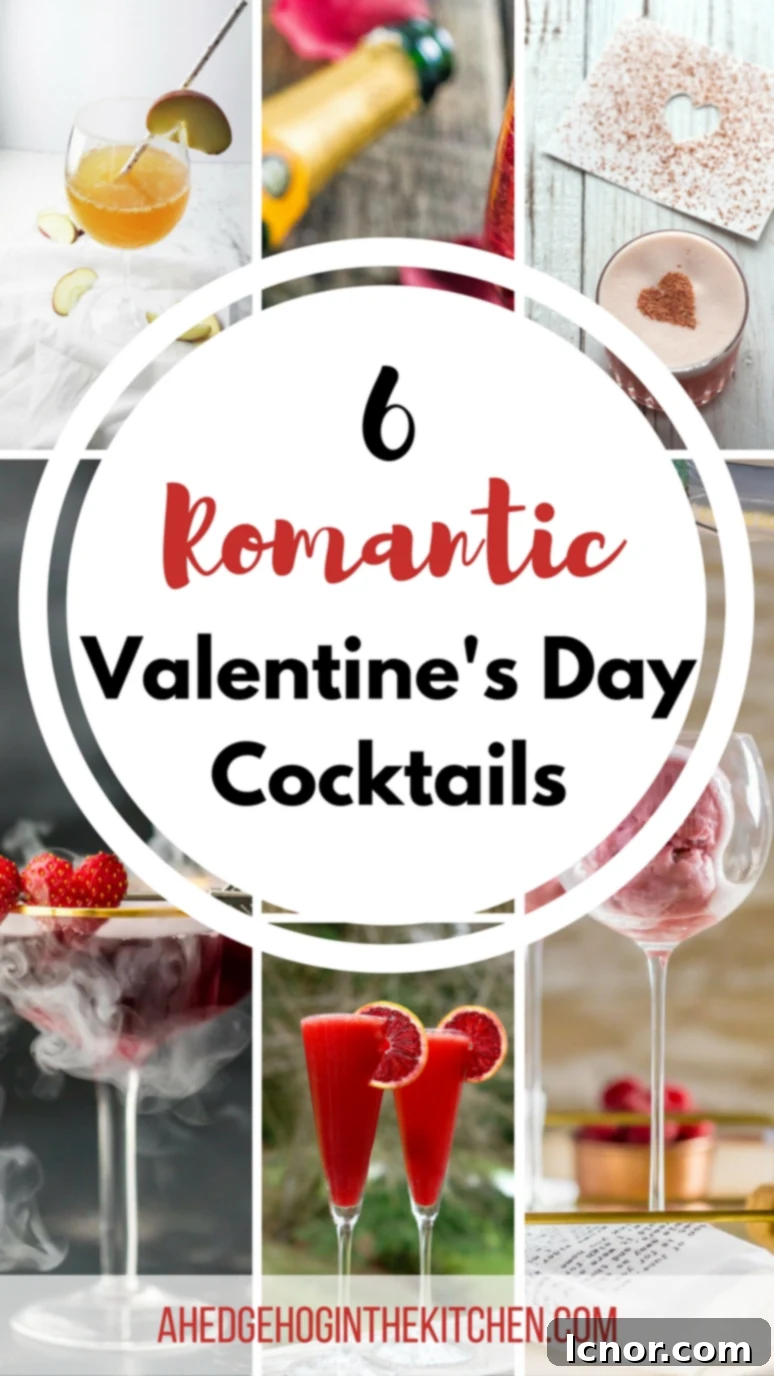 6 Romantic Valentine's Day Cocktails hand-picked by us! Love is in the air! | ahedgehoginthekitchen.com