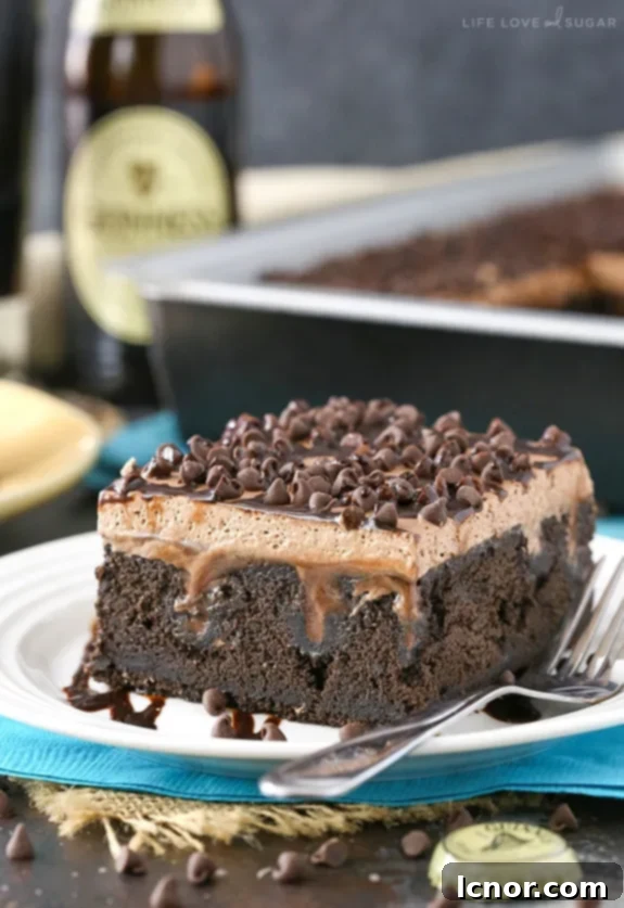 Guinness Chocolate Poke Cake for St. Patrick's Day | ahedgehoginthekitchen.com