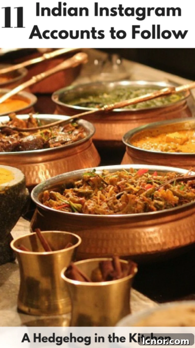 11 Indian Instagram Accounts. Discover Indian food and culture by following these awesome Indian Instagrammers! | ahedgehoginthekitchen.com
