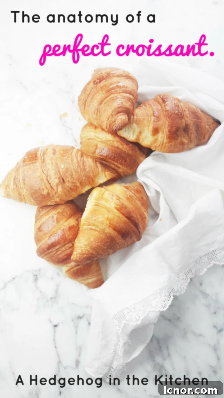 The anatomy of a perfect croissant, showcasing its layers and puffiness.