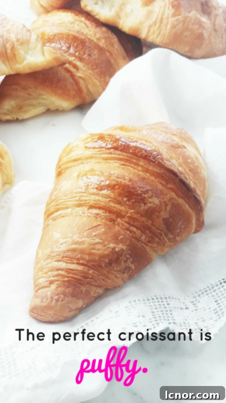 A perfectly puffed croissant, showcasing its light and airy texture.