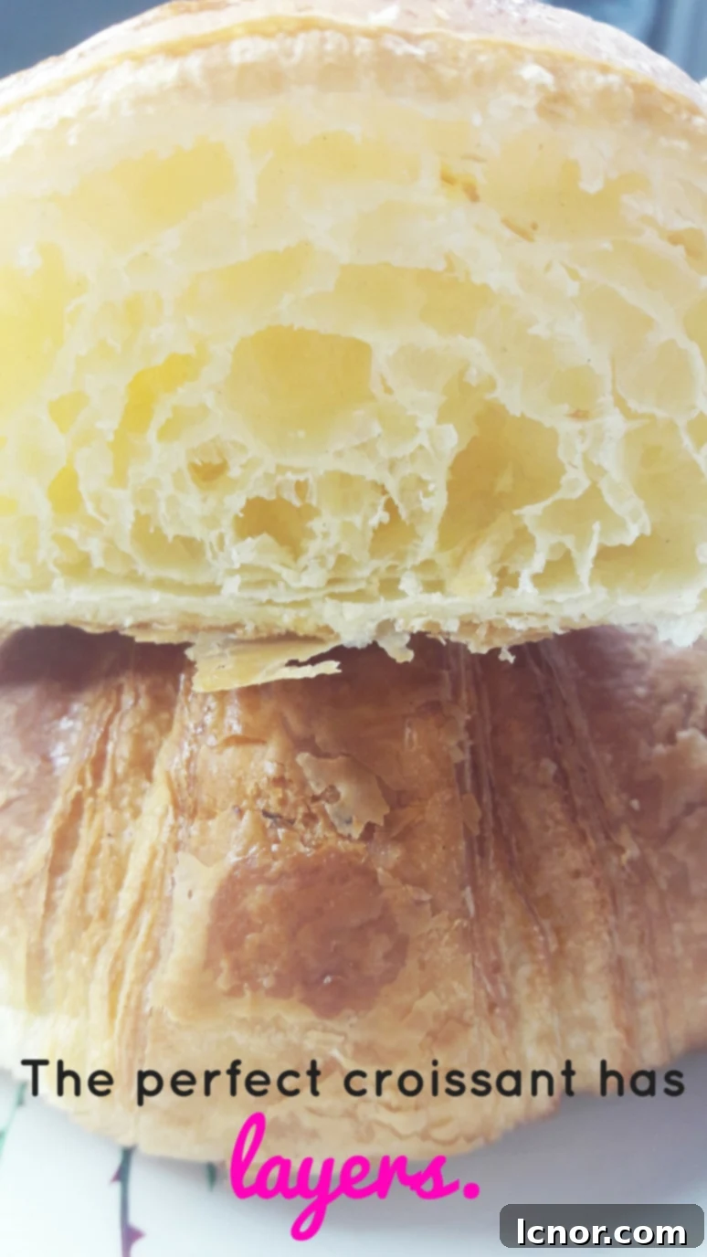 A croissant cut in half, clearly showing its numerous flaky layers.