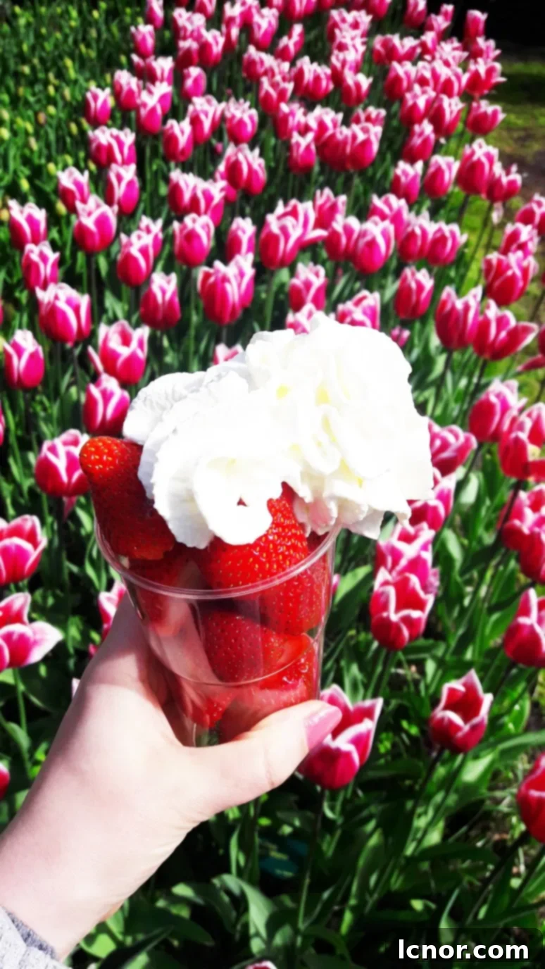 Fresh strawberries with a dollop of cream on a plate.