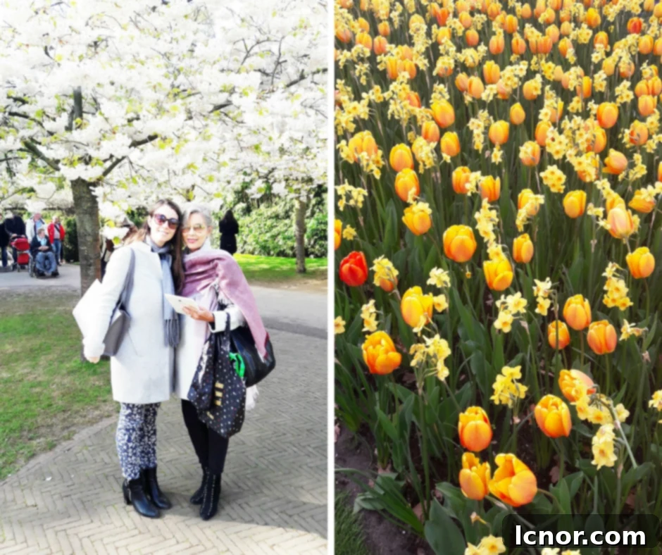 An overhead view of a section of Keukenhof Gardens, showcasing diverse flower beds and pathways.