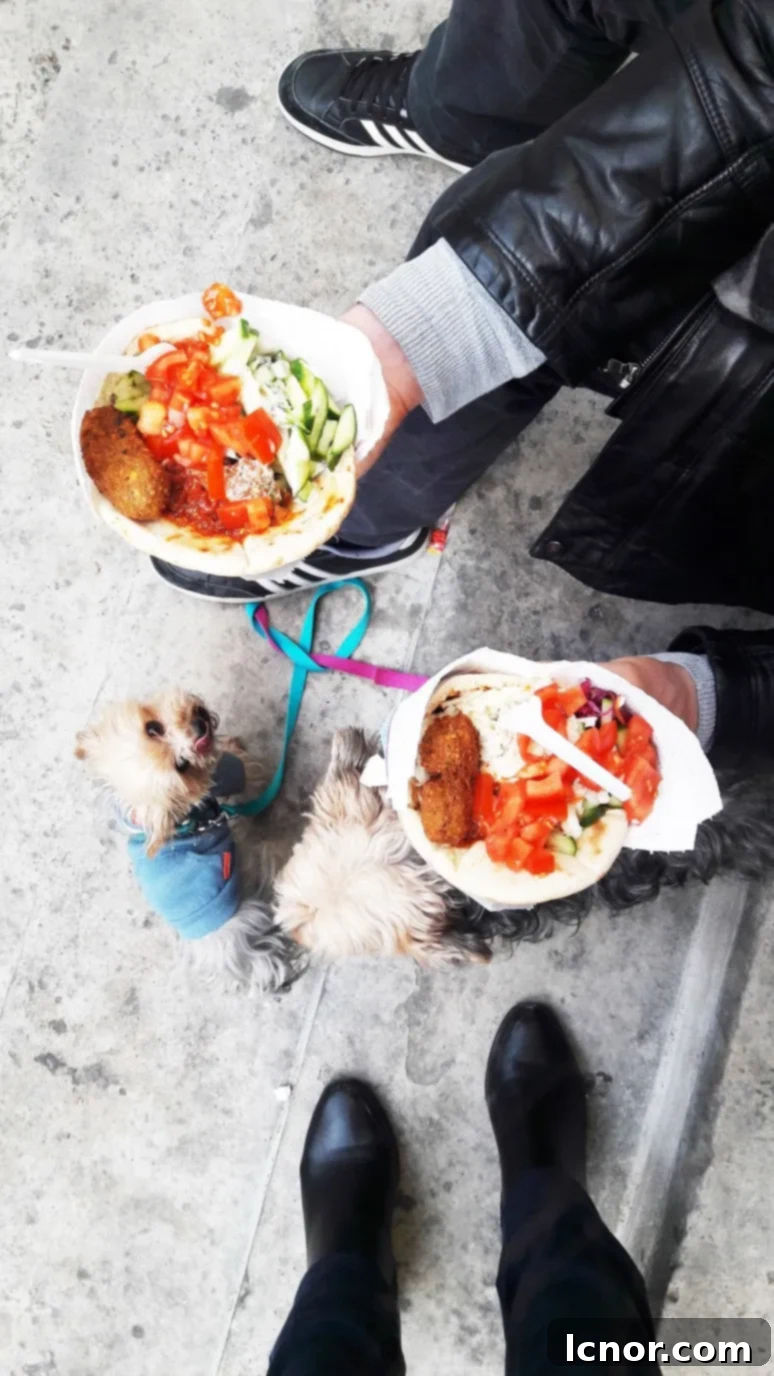 The best falafel in Paris? Our absolute favorite is at Chez Hanna on the rue des Rosiers in the Marais. | ahedgehoginthekitchen.com