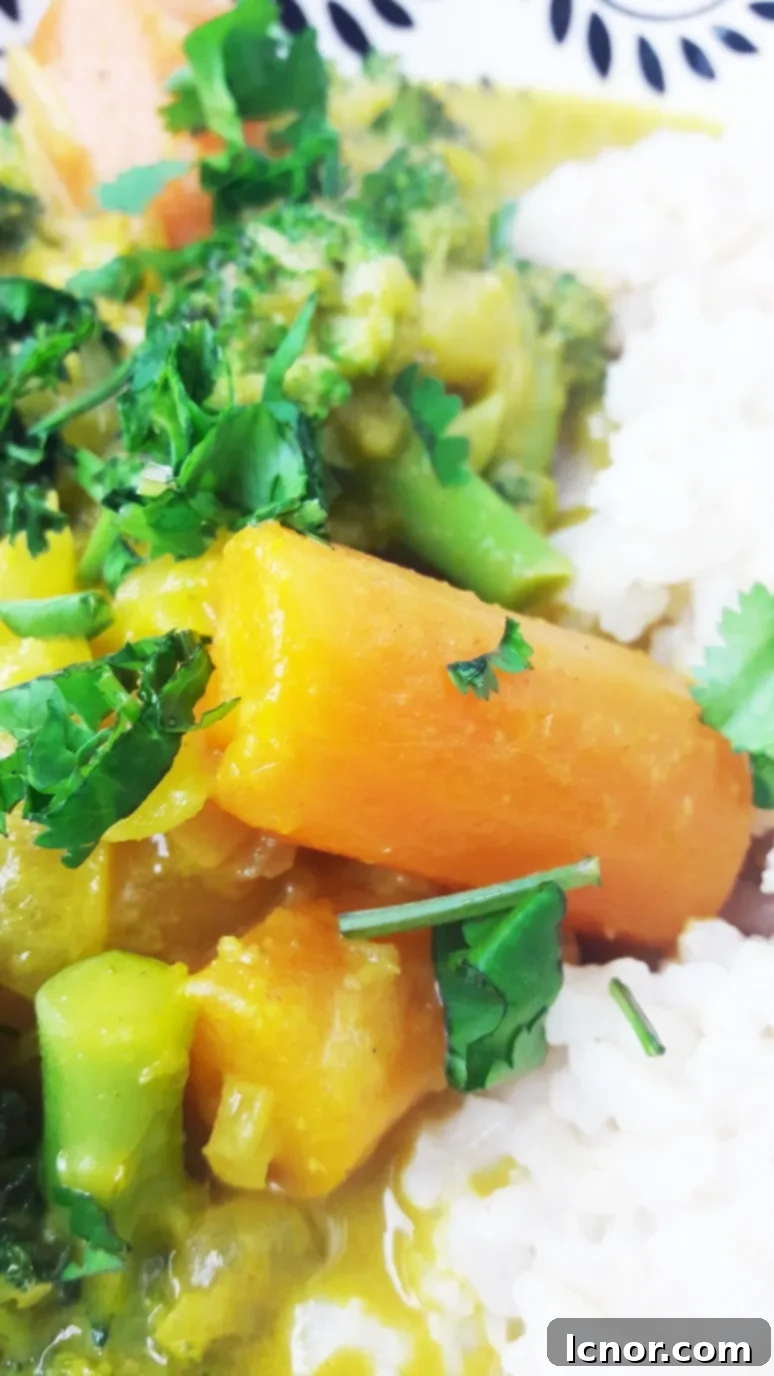 A bowl of fresh broccoli carrot potato coconut curry, ready to be served.