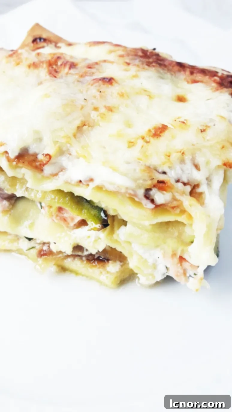 Hearty salmon zucchini lasagna with French cheese, perfect for a comforting and healthy dinner.