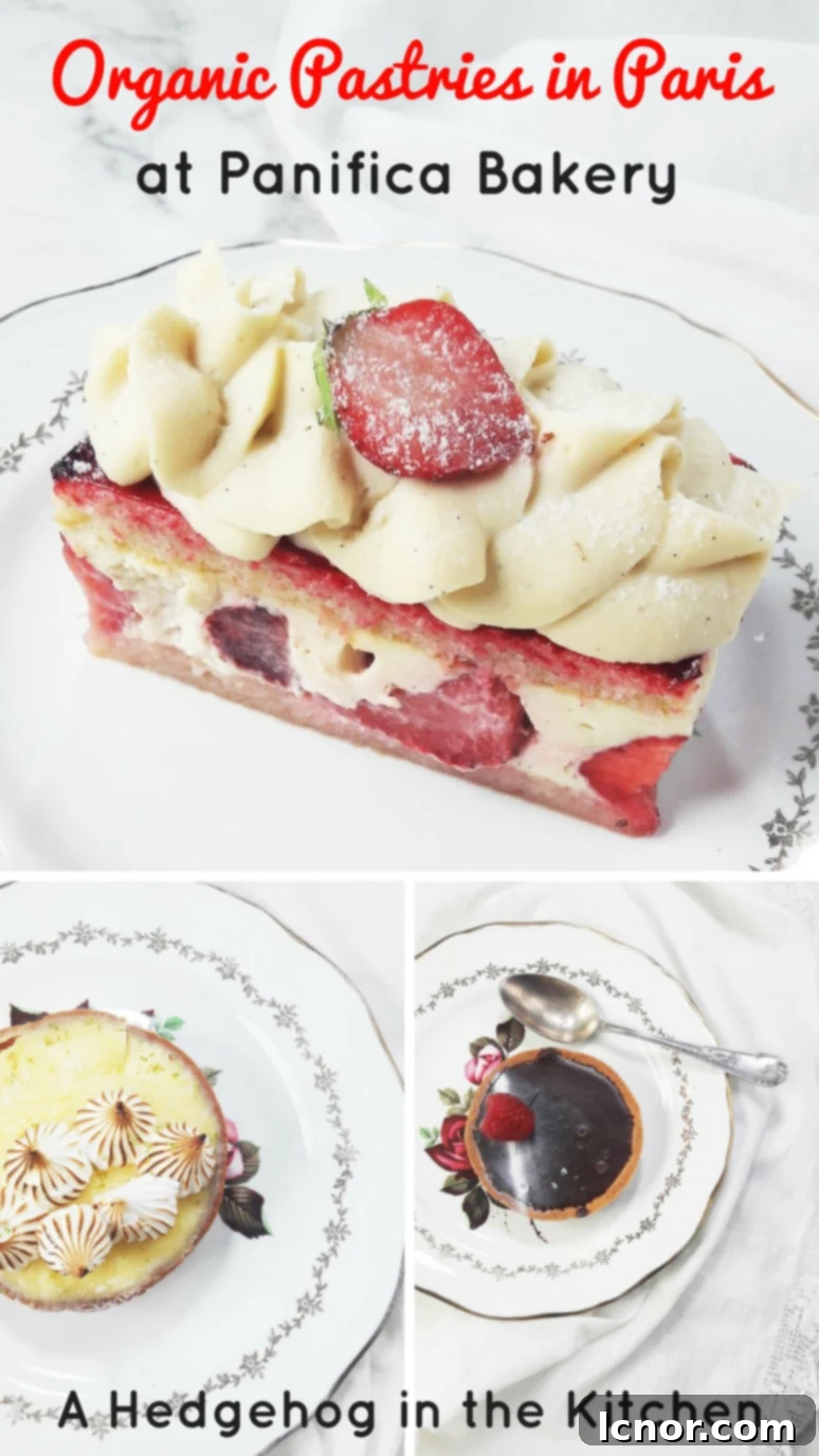 Exquisite organic pastries at Panifica Bakery, a top organic bakery in Paris. | ahedgehoginthekitchen.com