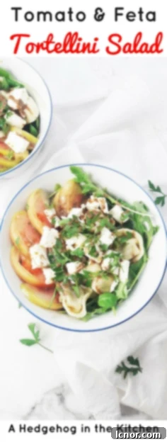 This tomato feta tortellini salad is a perfect healthy picnic staple. YUM. Just 8 simple ingredients & 10 minutes to pull together! | ahedgehoginthekitchen.com