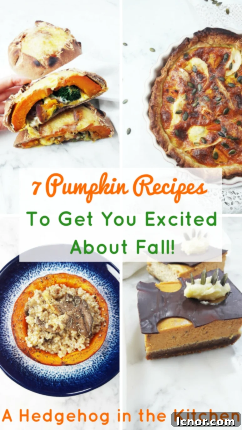 Seven delicious pumpkin recipes to get you excited for fall, featuring various pumpkin dishes like cheesecake bars, soup, and calzone, perfect for cozy autumn vibes.