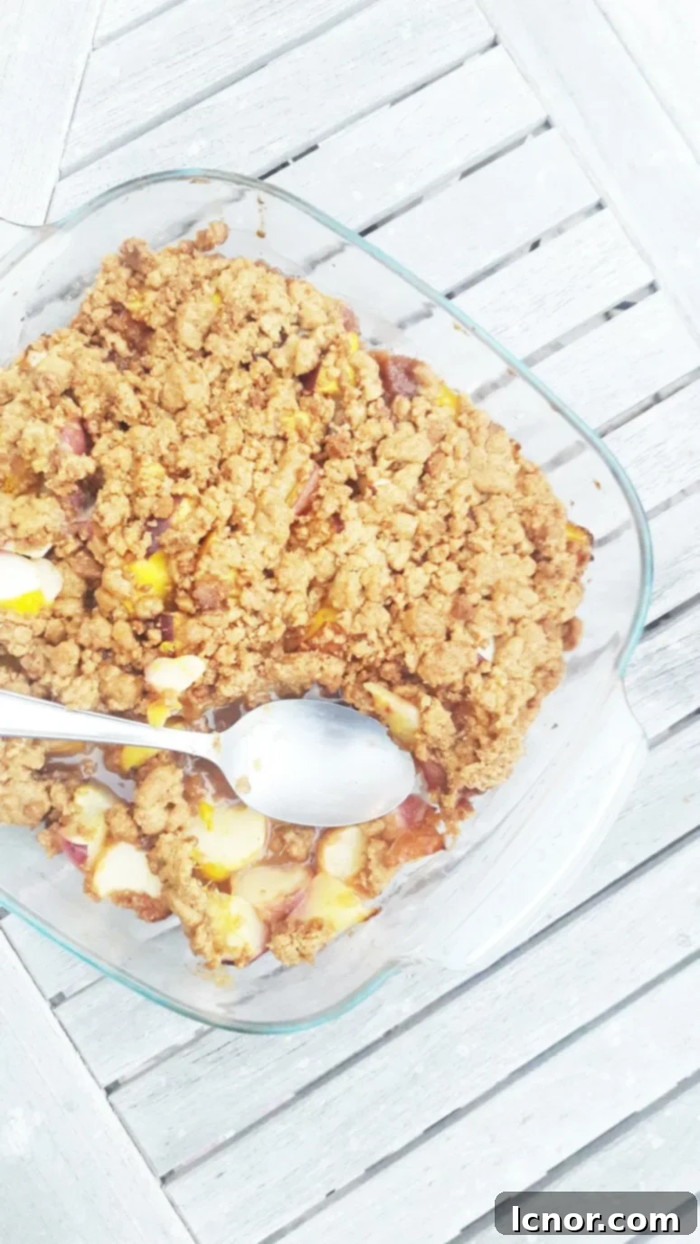 Delicious Peach Nectarine Mango Crumble recipe, an easy and healthy dessert perfect for summer. Loved by everyone, including kids who don't like fruit. Visit ahedgehoginthekitchen.com for the recipe.