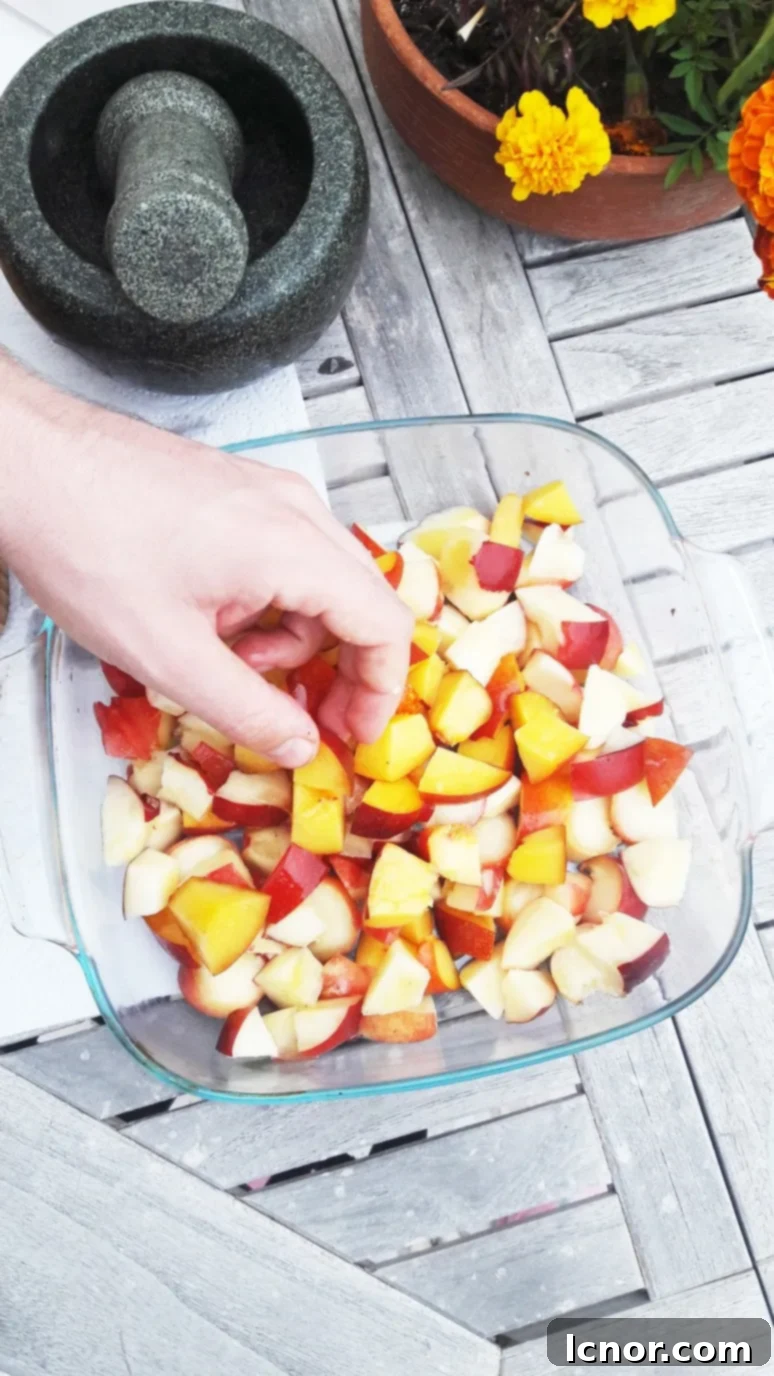 Freshly chopped peaches, nectarines, and mangoes arranged in a baking dish, ready for the crumble topping. An easy step for this healthy fruit dessert. | ahedgehoginthekitchen.com