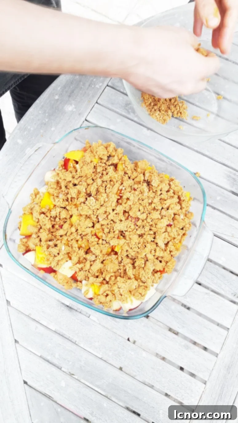 Crushed speculoos cookies, a key ingredient for the delicious and unique crumble topping in this peach nectarine mango crumble recipe. | ahedgehoginthekitchen.com