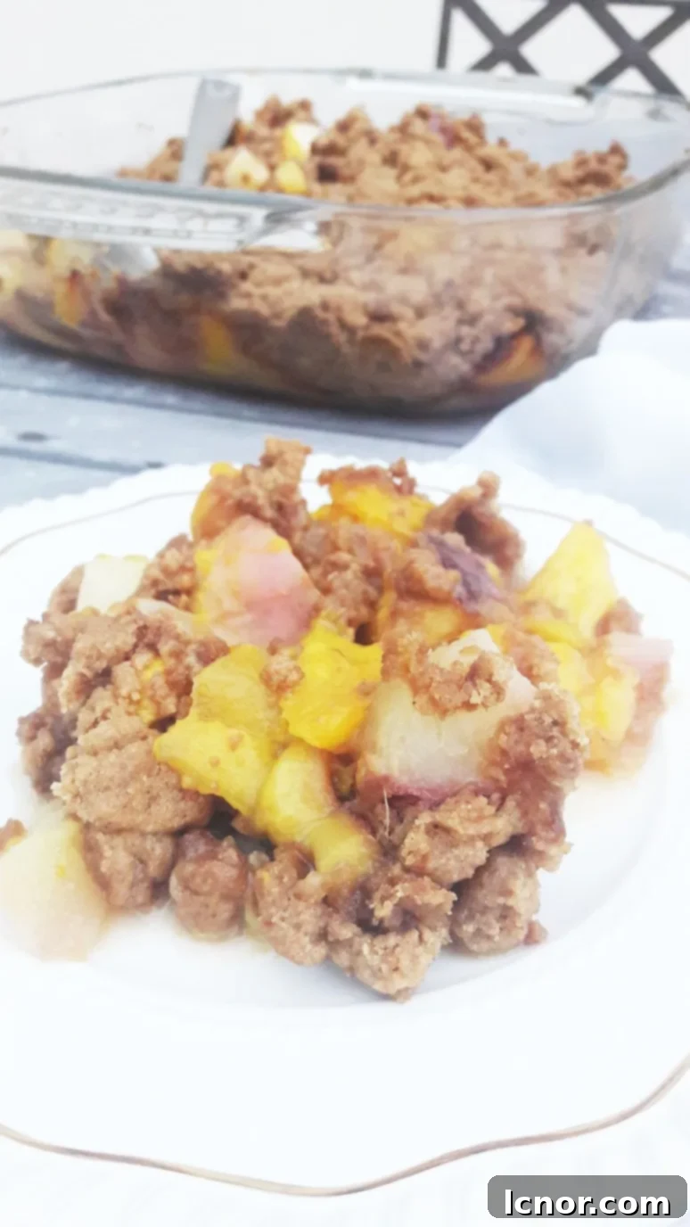 The Peach Nectarine Mango Crumble, freshly baked to a golden brown, bubbling with fruit juices, and ready to be served. A perfect healthy dessert for any occasion. | ahedgehoginthekitchen.com