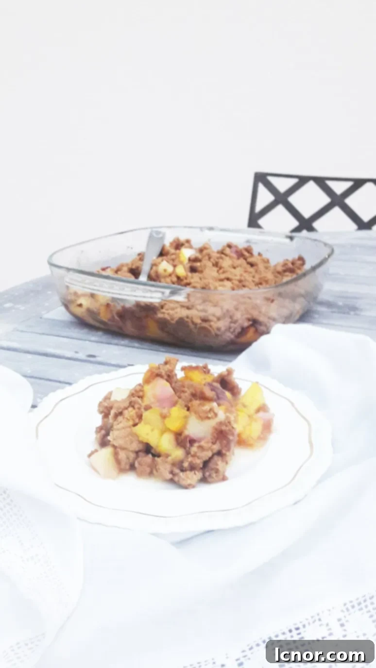 A serving of the delicious Peach Nectarine Mango Crumble, showcasing its crispy topping and soft, juicy fruit filling. Perfect for a healthier dessert option. | ahedgehoginthekitchen.com