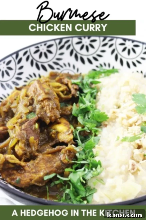 Burmese Chicken Curry (Panthe Kaukswe)