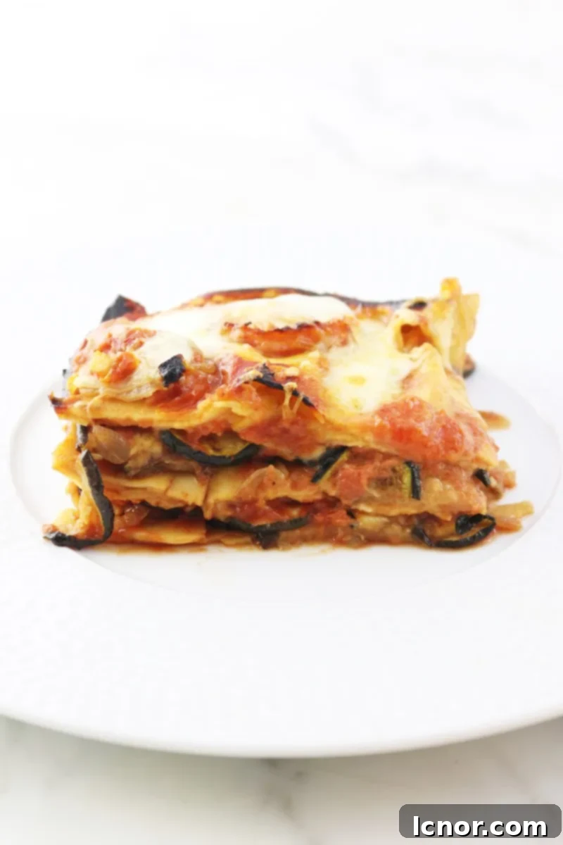 Roasted Eggplant Lasagna with a rich tomato sauce and melted cheese, ahedgehoginthekitchen.com