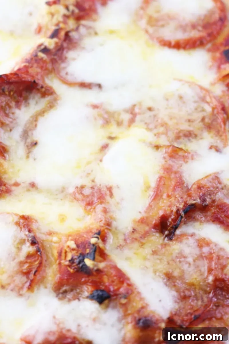A large pan of freshly baked Roasted Eggplant Lasagna, ahedgehoginthekitchen.com