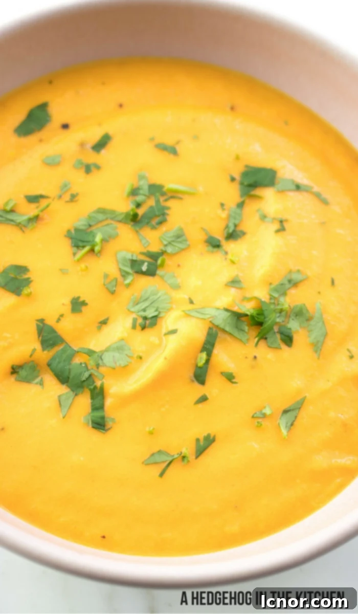 Creamy Carrot Coconut Curry Soup 4 Coconut Curry Soup #veganrecipes #coconutmilk #coconutcream #vegetarianrecipes. ahedgehoginthekitchen.com